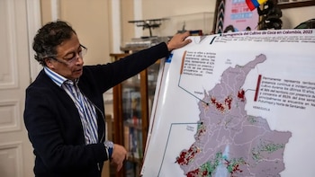 Gustavo Petro defendió su polémica estrategia antidrogas: “He logrado caída de la cantidad de hectáreas sembradas”