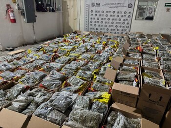 La marihuana fue hallada en