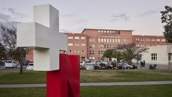 Navarra registra 9 casos de enfermedad por picaduras de mosquitos en lo que va de año