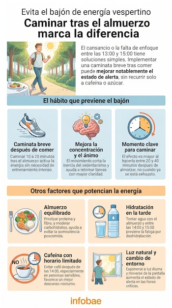 Infografía con ilustraciones de un hombre caminando, un plato de comida, una zapatilla, un cerebro, un reloj, agua y taza de café.