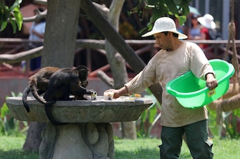 REFILE - CORRECTING YEAR