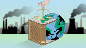 Daños ambientales de gran escala impulsan el reconocimiento del ecocidio, un delito que México aún no contempla en su legislación