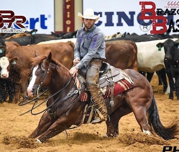 (Instagram: @ab_performancehorses)