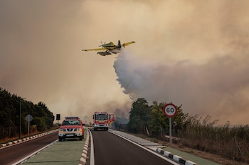 Un hidroavión realiza una descarga de agua sobre la carretera CV-500 ante el avance del incendio forestal declarado este jueves en la Gola de Pujol. (EFE/Biel Aliño)