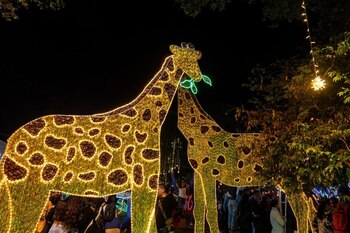 El evento en el Parque