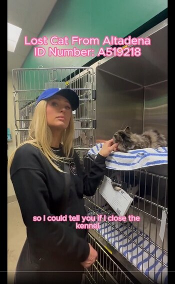 Paris Hilton pidió ayuda a