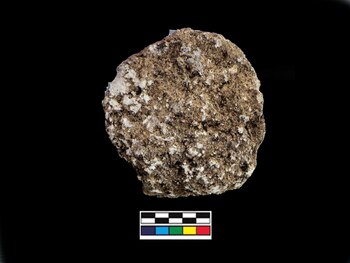 Las tapas de jobón están