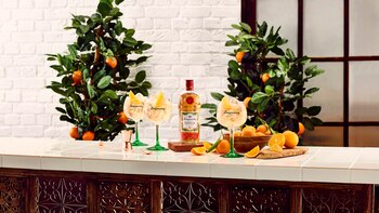 Tanqueray Flor de Sevilla inhouse