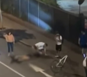 Atropello en San Isidro: así