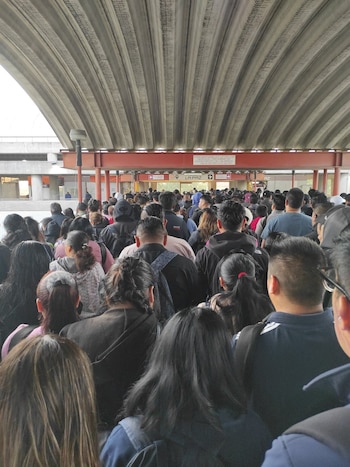 Avance en tiempo real de las diversas líneas de la red de transporte público capitalino.