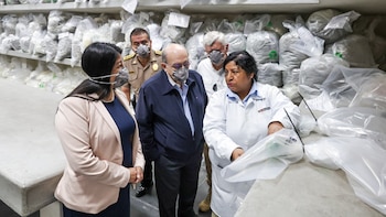 Refuerzo nacional: 6 mil efectivos