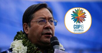 Luis Arce afronta una compleja