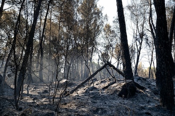 Los Bomberos de la Generalitat han dado por estabilizados los seis incendios forestales que desde ayer se registran en Cataluña, en una jornada que fue extremadamente complicada para los servicios de extinción por las altas temperaturas y una humedad ambiental mínima, y por la simultaneidad de los fuegos, en la imagen aspecto del incendio en el núcleo del Pla de Manlleu, en Aiguamúrcia (Tarragona), donde están trabajando 25 unidades.EFE/ Àlex López