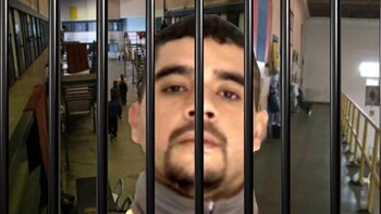 La salvaje vida en el