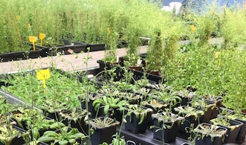 Imagen OJHFZ6TDKFHVNEWHAKFAZEQHZI