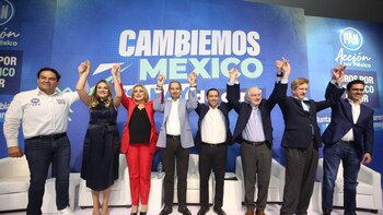 INE llamó la atención al