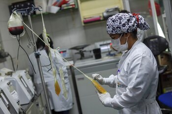 México compró alrededor de 2,000