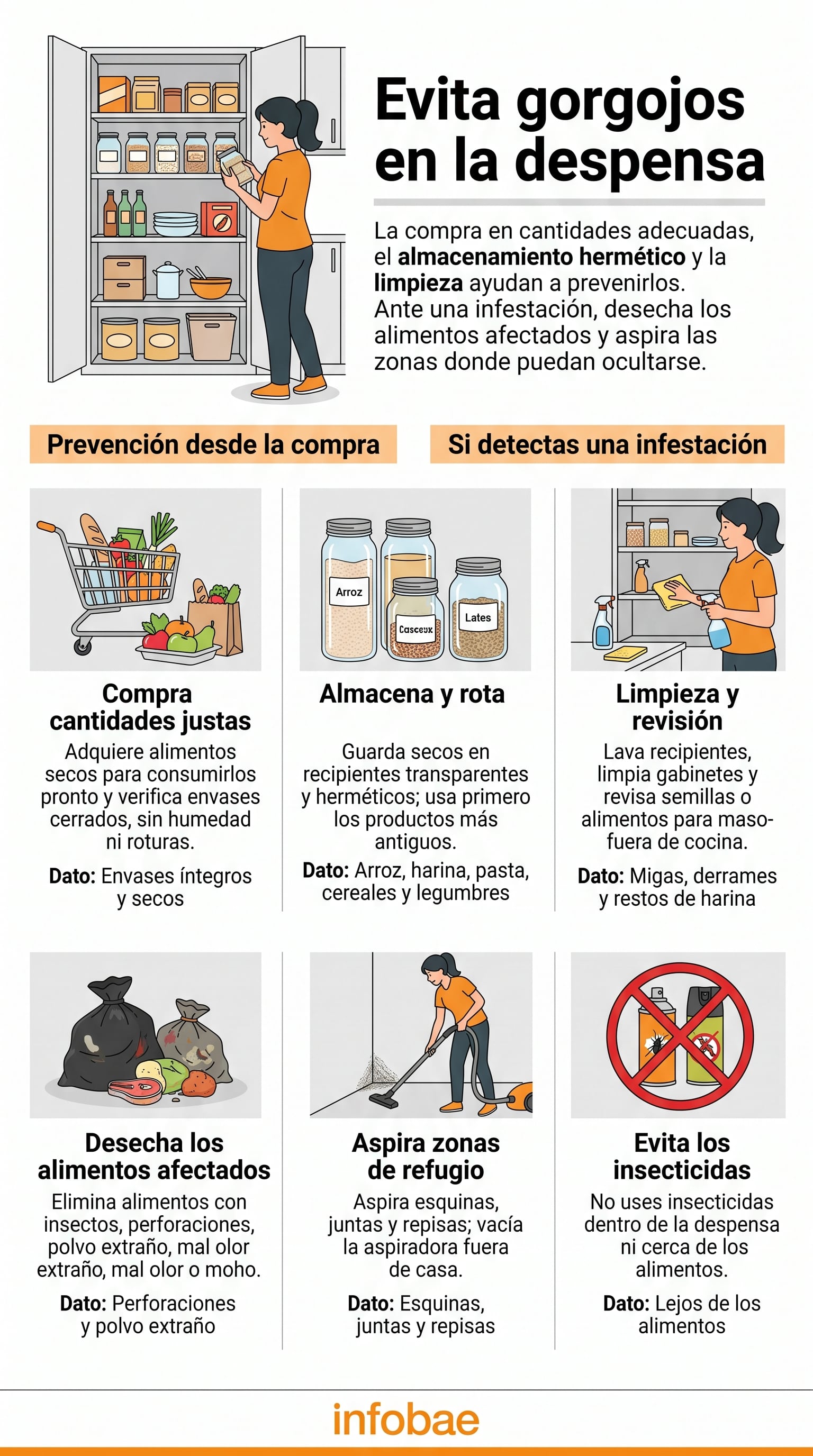 Medidas de higiene y almacenamiento para prevenir los gorgojos en la despensa. (Imagen Ilustrativa Infobae)