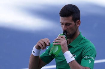 Novak Djokovic aseguró que no