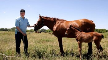 Los criadores Doña Sofia Polo