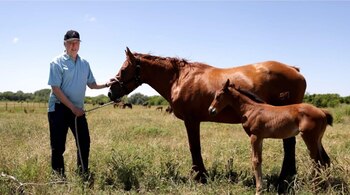 Los criadores Doña Sofia Polo