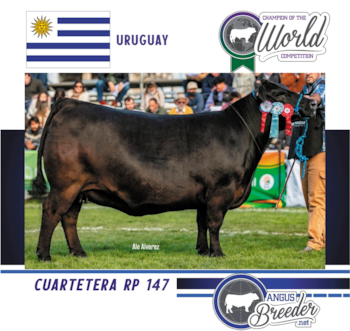 Una vaca uruguaya ganó el