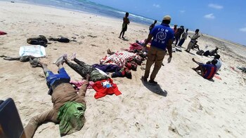 Los trabajadores de la Organización