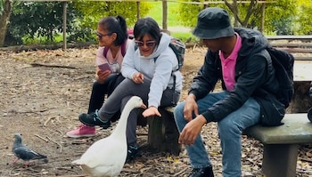 La medida, que debe ejecutarse