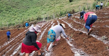 Sistemas de agua comunitarios son rehabilitados para garantizar el acceso al recurso. (Foto: Cortesía)