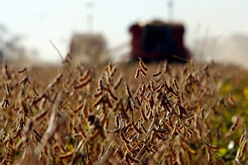 Sigue subiendo el precio de