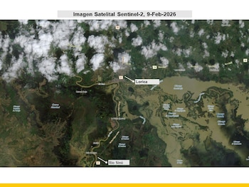 Más de 113.000 hectáreas se