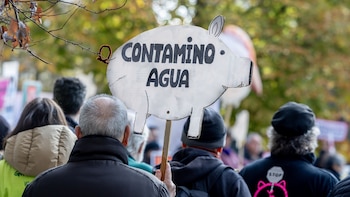 La contaminación por nitratos de la agricultura y ganadería industrial deja sin agua potable a más de 260.000 personas en España