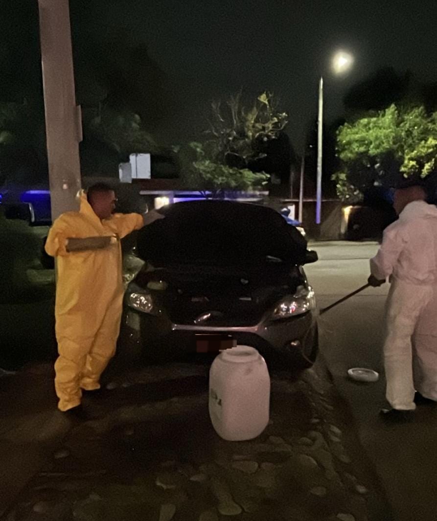 La Policía de Córdoba y personal especializado garantizaron la reinserción del zorrino en su hábitat natural para su protección