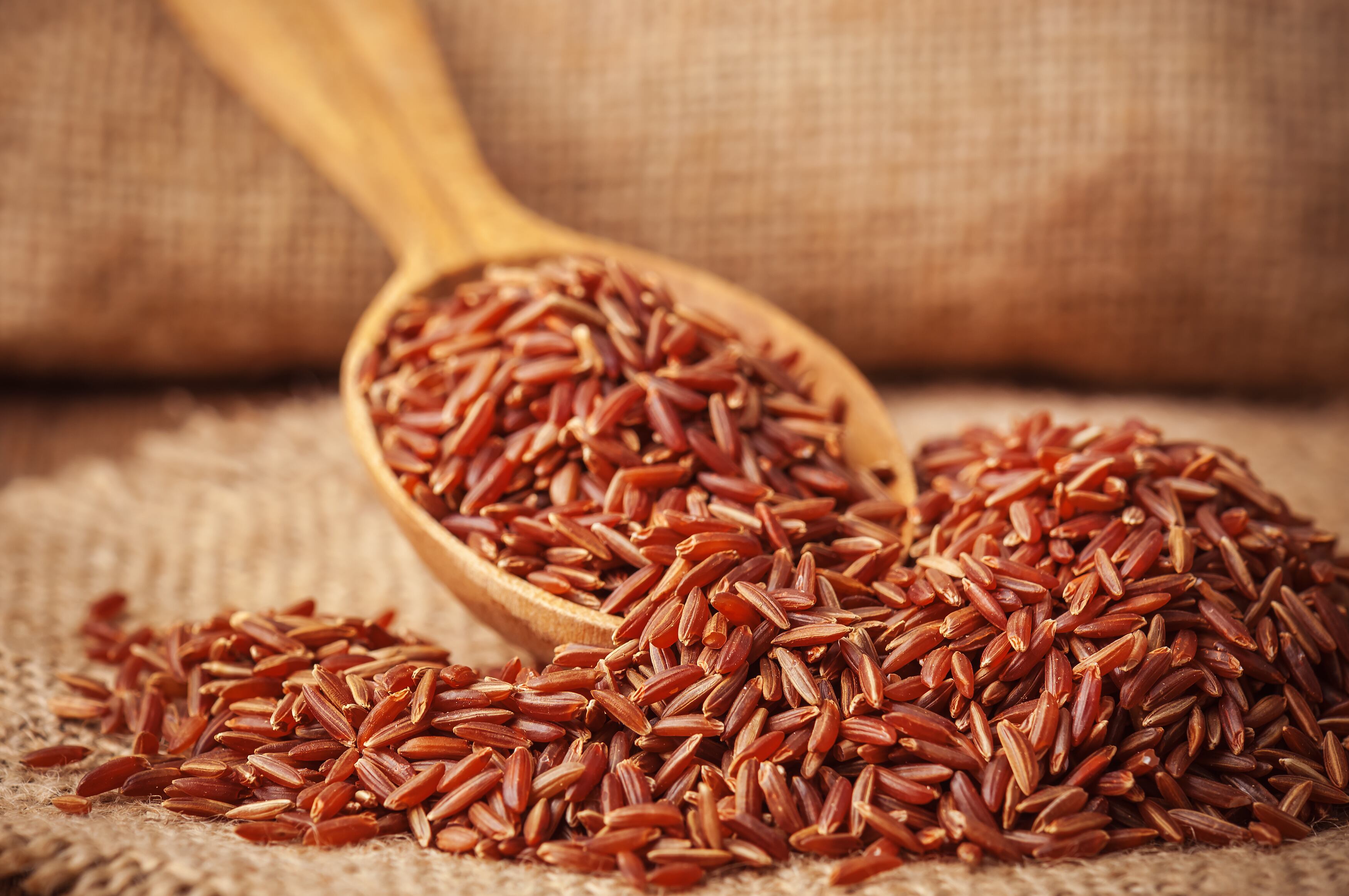 Arroz rojo. (Adobe Stock)