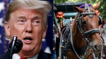 Trump estalla por el fin de los carruajes tirados por caballos en Nueva York: "¿Por qué no prohíben los autos cuando hay accidentes?"
