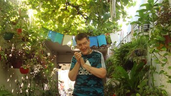 Matías Torres trabaja de martes