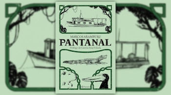 Portada de libro color verde claro con ilustraciones de barco, caimán, dos carpinchos, un ave tuiuiu y el título "Pantanal", sobre un fondo de la misma tapa desenfocada.