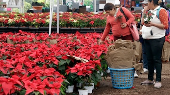 Conoce todos los puntos de