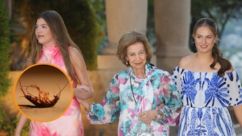 Mallorca invertirá 20.000 euros en controlar las plagas de ratas y cucarachas del Palacio de Marivent: la limpieza del refugio veraniego de la familia real