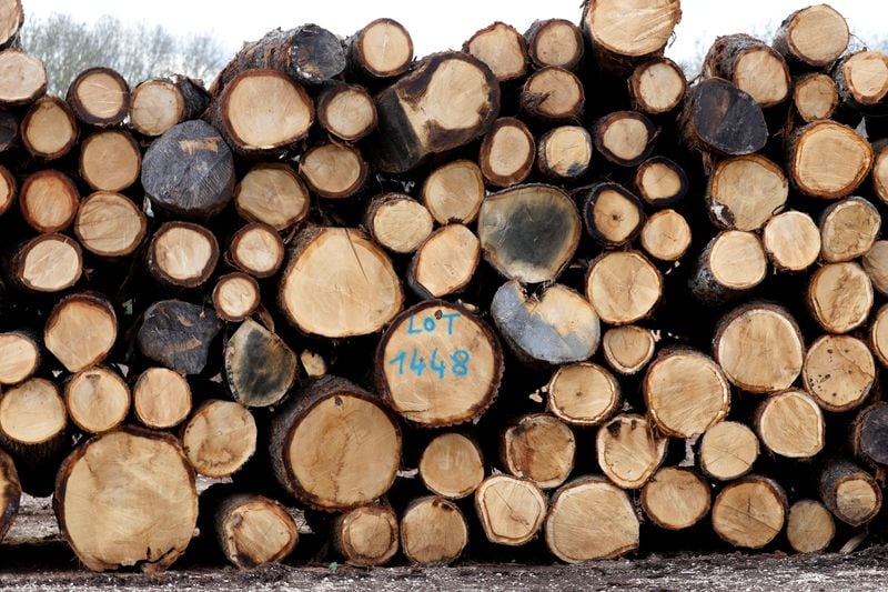 La empresa, dedicada a la fabricación de pallets, acumulaba deudas fiscales, salarios impagos y afrontaba una drástica caída de la demanda
