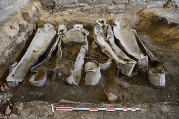 Según documentos históricos, Du Bellay