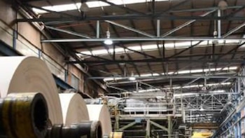 Qué hay detrás del cierre de Propal y por qué es un ejemplo de que en Colombia es cada vez más costoso producir: “Se ha vuelto inviable”