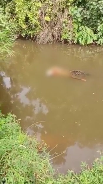 El rescate y la reacción