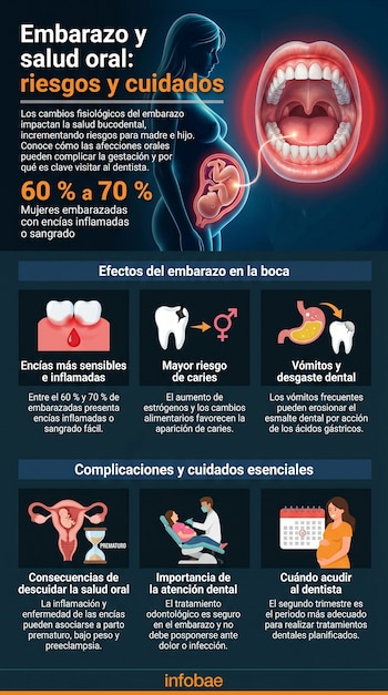Infografía ilustrando la relación entre embarazo y salud oral. Muestra una mujer embarazada, un feto, una boca, encías, un diente, estómago, útero, visita al dentista y calendario.