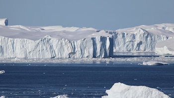 Científicos de la Universidad de