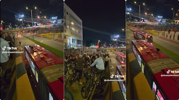 En video: un perro resultó