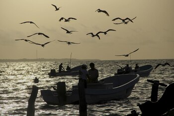 La organización pidió ser más