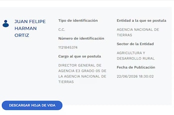 El perfil profesional fue incluido en el portal oficial de presidencia como parte del trámite previo para la designación en cargos del Ejecutivo. - crédito captura de pantalla