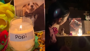 Estos videos generaron sorpresa en