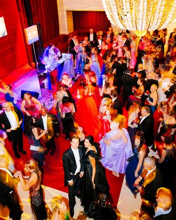 Viena Baile